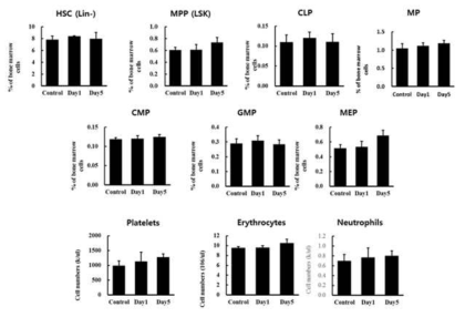 EC-18 투여후 골수에서의 세포변화