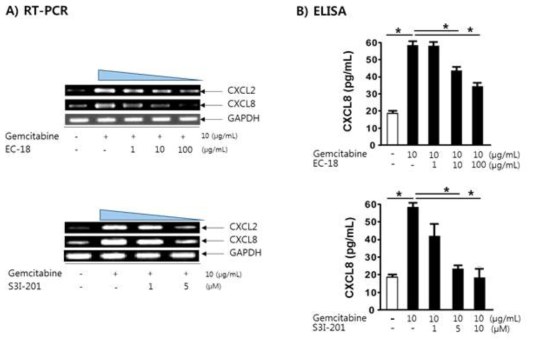 Gemcitabine에 의한 유도된 CXCL2와 CXCL8 증가가 EC-18에 의한 저해 효과