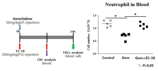 항암제 gemcitabine에 의한 neutropenia 발생 및 EC-18에 의한 저해 효과