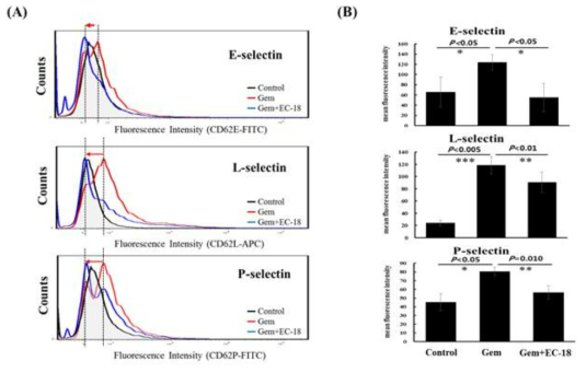 Gemcitabine 처리후 E-selectin, L-selectin 및 P-selectin의 변화