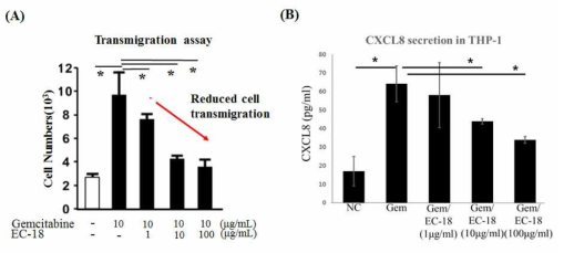 Transwell system에서의 chemokine CXCL8과 호중구수의 변화