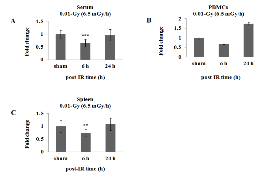 저선량방사선 조사 6 및 24 시간 후 혈청, 말초혈액단핵세포, 비장에서의 miR-193b-3p 발현 변화