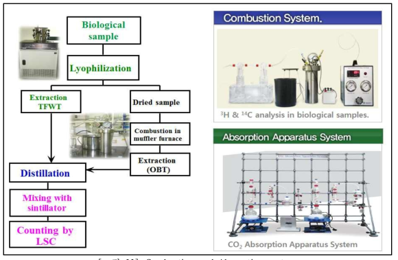 Combustion and Absorption system