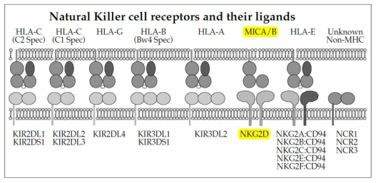 Annu. Rev. Immunol. 2005