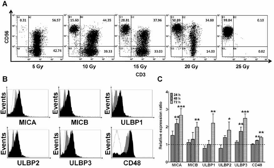 Radiation effectively induces T-cell inactivation and upregulates NKG2D ligands and CD48 in human PBMCs