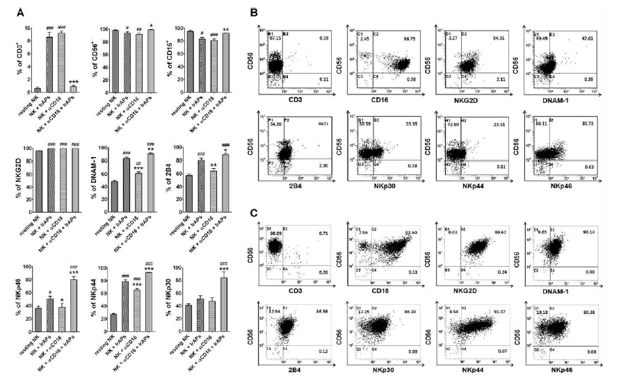 NK cell-activating receptors are upregulated by the combination of the αCD16 mAb with IrAPs