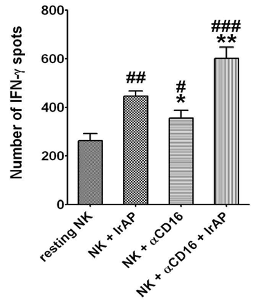 NK cells expanded by the combination of the αCD16 mAb with IrAPs show significantly increased secretion of IFN-γ after encountering target cancer cells