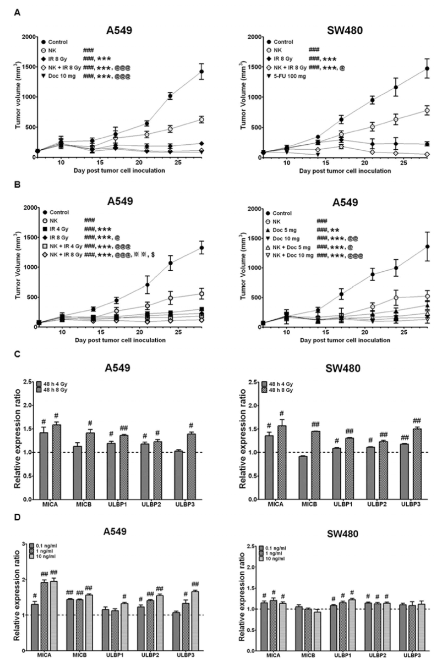NK cells expanded by the combination of the αCD16 mAb with IrAPs have a strong in vivo antitumor effect in lung and colon cancer xenograft models