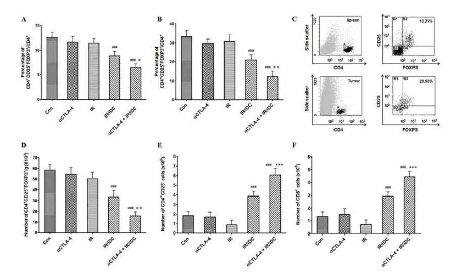 Proportion of Tregs to CD4+ T-cells, and the number of Tregs and conventional T-cells in the spleens and tumors of a mouse model of lung disease