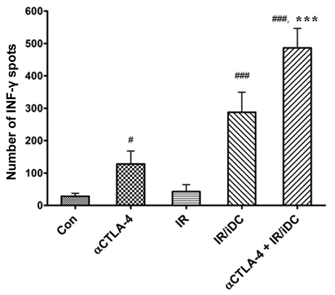 Number of tumor-specific T-cells following treatment with the anti-CTLA-4 antibody and IR/DC.