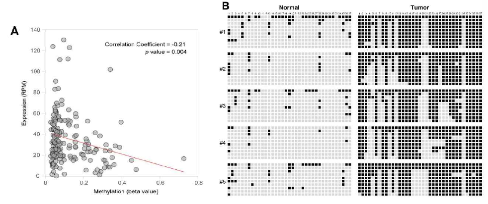 Correlation between expression levels and methylation beta-values of miR-1247 in pancreatic primary tissue samples