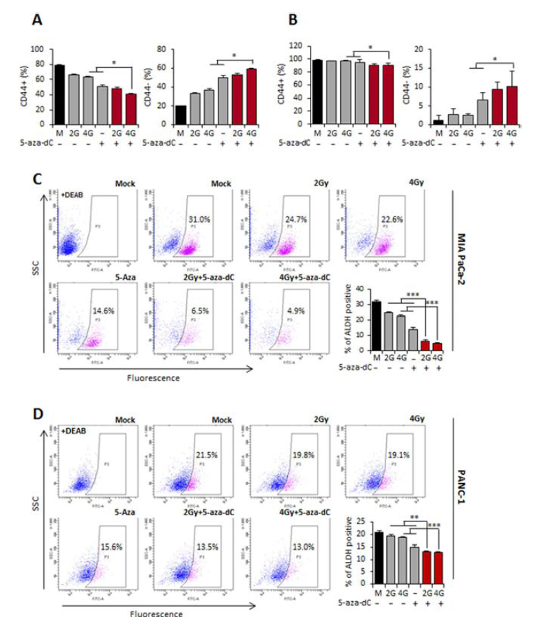 Combination treatment with 5-aza-dC and IR can deplete pancreatic CSCs.