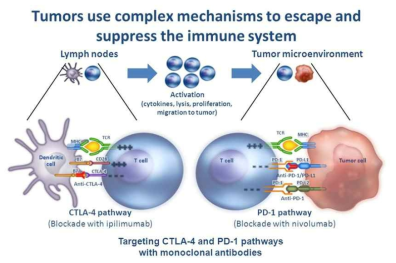 Nature Reviews Cancer, 2012