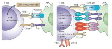 Nature Reviews Cancer, 2011