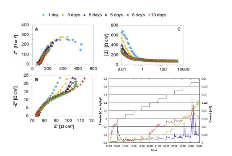 Corrosion Protection Quality Control Graph