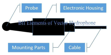 Conceptural drawing of an element of vector hydrophone