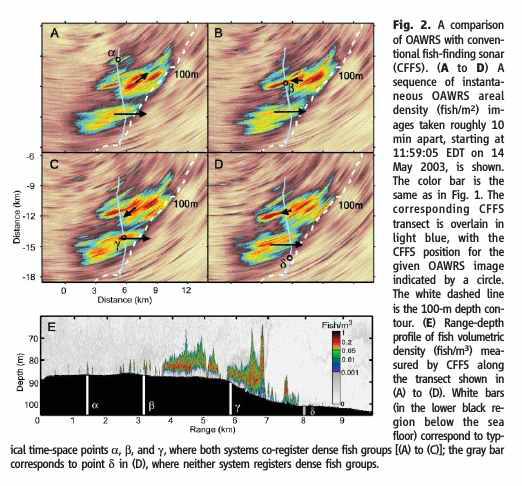 Long-range detection of fish shoals by acoustic remote sensing