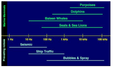 Frequency bands of marine mammals and ambient noise.