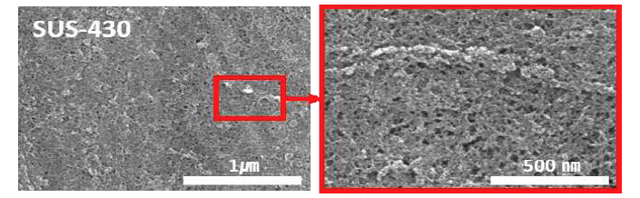 표면 개질된 스테인리스 스틸(SUS-430의 FE-SEM 이미지