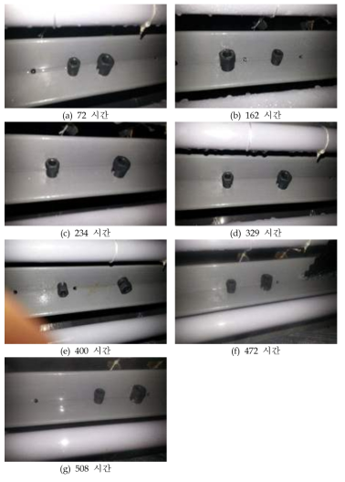 방청 처리 된 steel 나사 부품 염수 분무 시험 후 형태적 이미지 분석