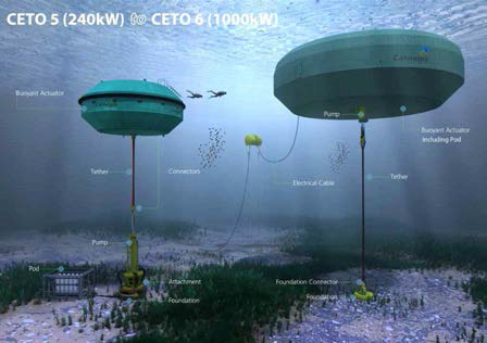 Conceptual map of CETO5, 6