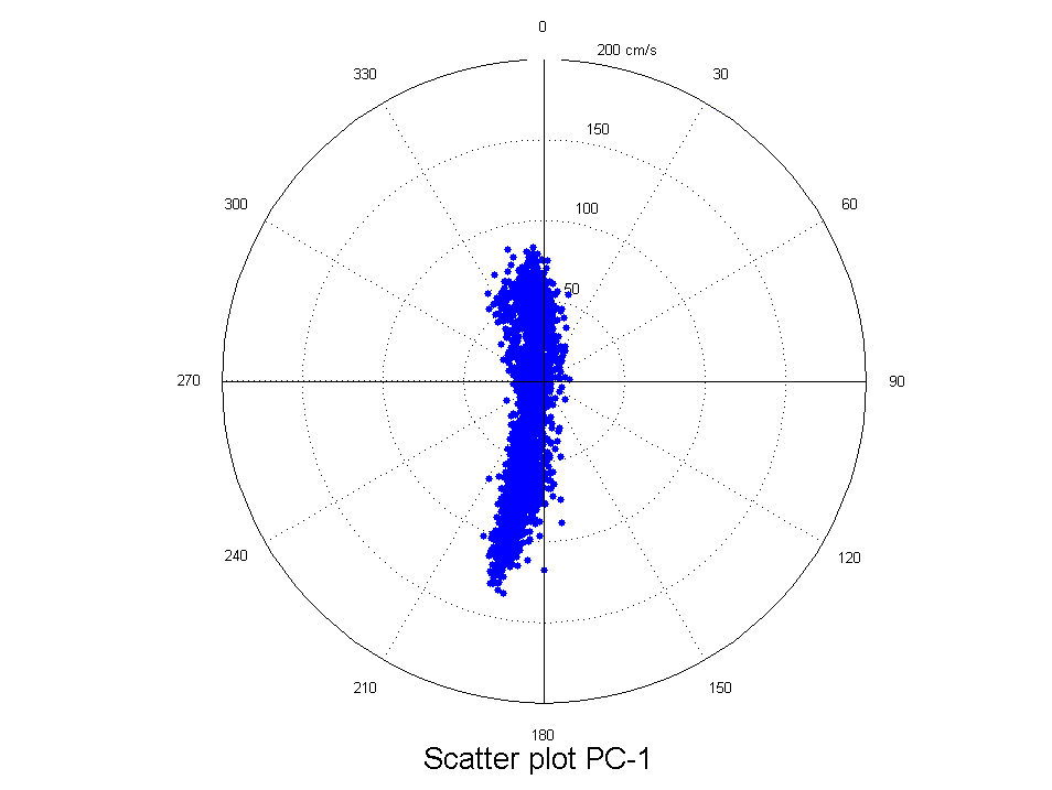 Tidal current direction and velocity distribution