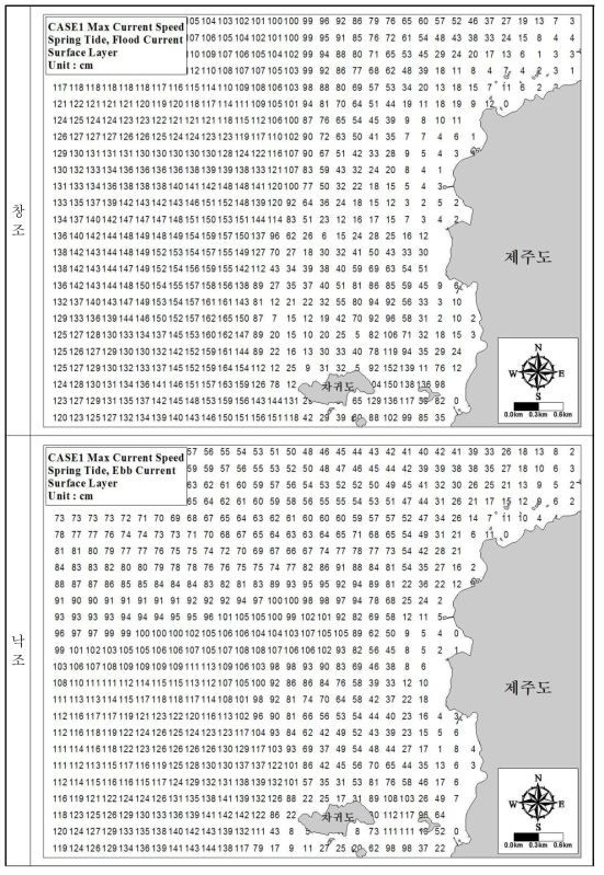 Tidal current velocity distribution (high tide, surface layer)