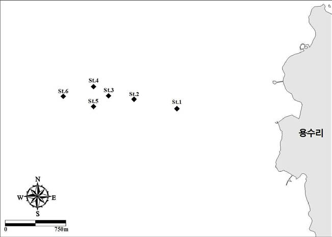 Location of chemical oceanography observation point