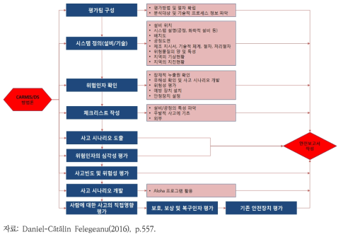 CARMIS/DS 적용 흐름도