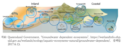 지하수 의존 생태계 개념 모델