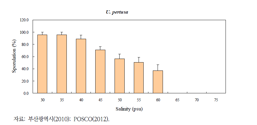 고염 농축수 노출에 따른 녹조구멍갈파래의 포자형성률 변화