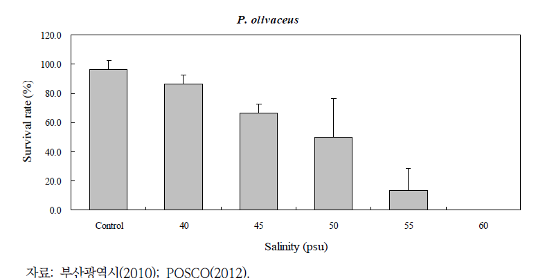 고염 농축수 노출에 따른 넙치 치어의 생존율 변화