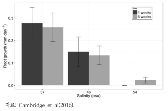 대조구(37psu)와 실험구(45psu와 54psu)에서 Posidonia Australis의 뿌리 성장