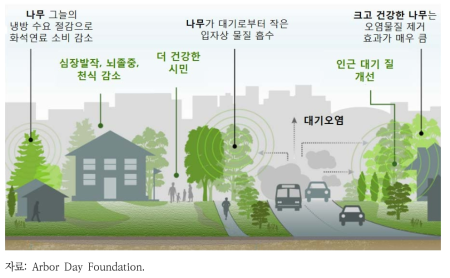 도시 녹지의 환경적 혜택