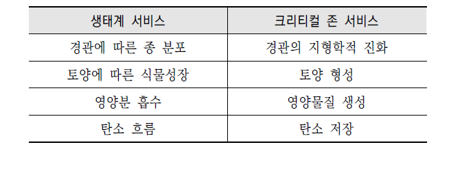 생태계 서비스와 크리티컬 존 서비스의 비교