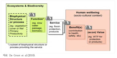 생태계 기능과 서비스를 통한 생태계와 인간 후생의 관계