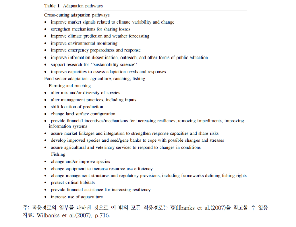 CLIR모형 적응경로 예