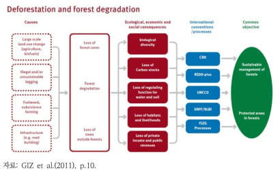 산림전용 및 황폐화 방지 관련 국제 협약