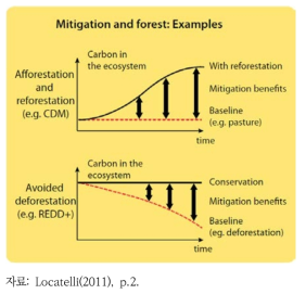 산림과 온실가스 감축