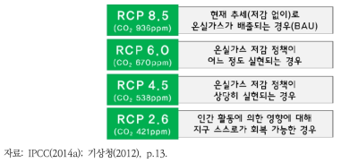 RCP 시나리오의 종류