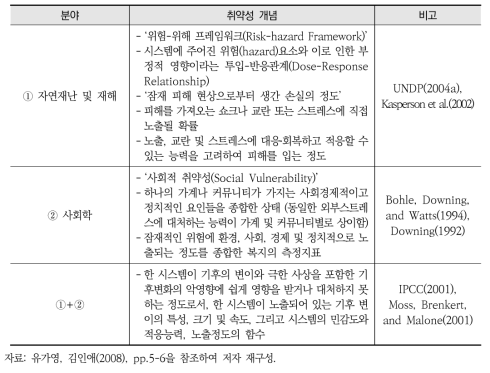 일반적인 취약성의 개념