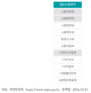 국민안전처 조직도