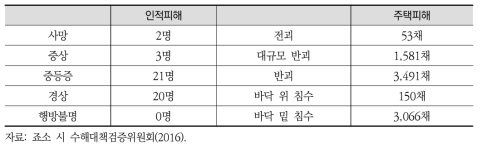 인적 및 주택 피해