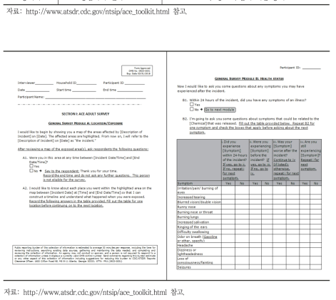 ACE 조사 양식 예시(일반조사)