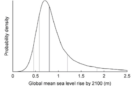 2100년 RCP 8.5 해수면 상승별 확률 밀도