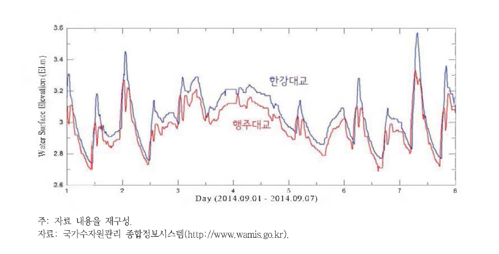 한강대교 및 행주대교에서의 수위 비교