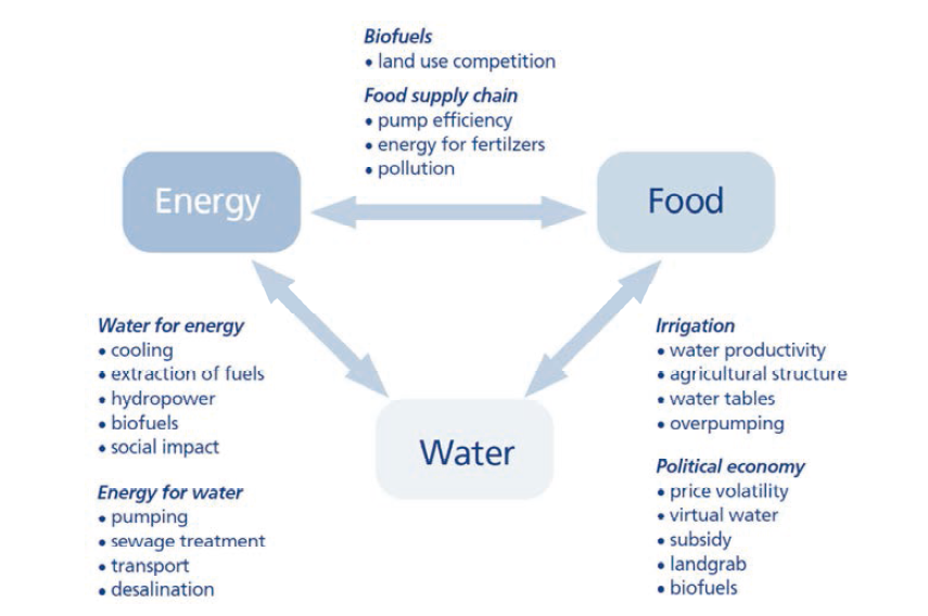Interdependencies between water, energy and food