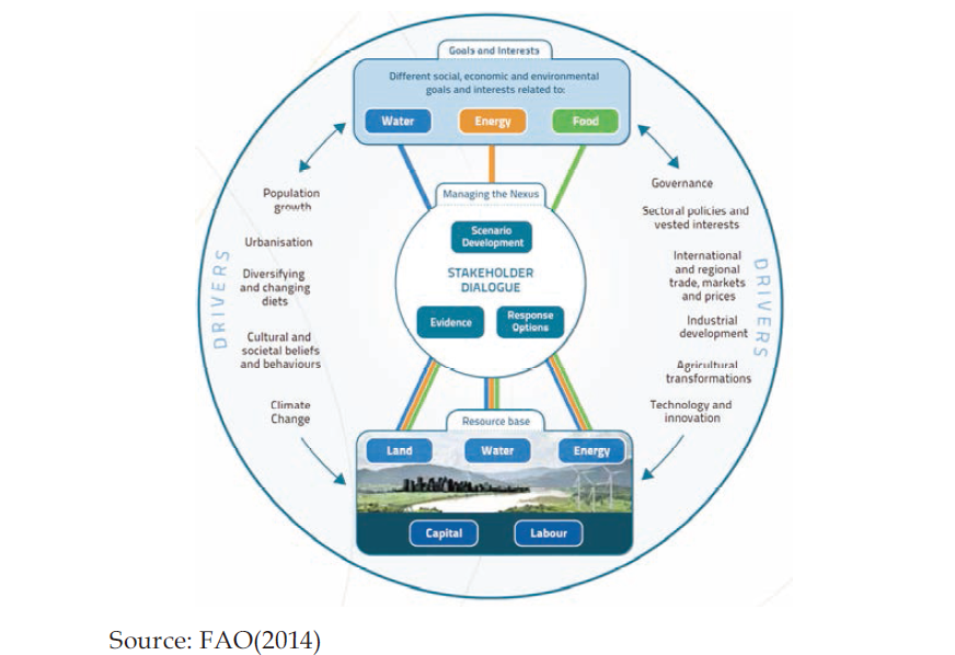The FAO Approach to the Water-Energy-Food Nexus