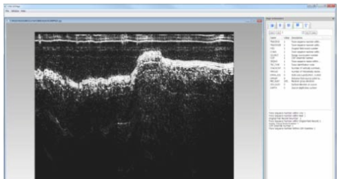 The frame of developed software with displaying the seismic section and SEG-Y header..