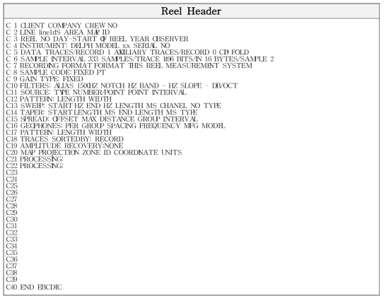 SegY 3200바이트 EBCDIC/ASCII reel header